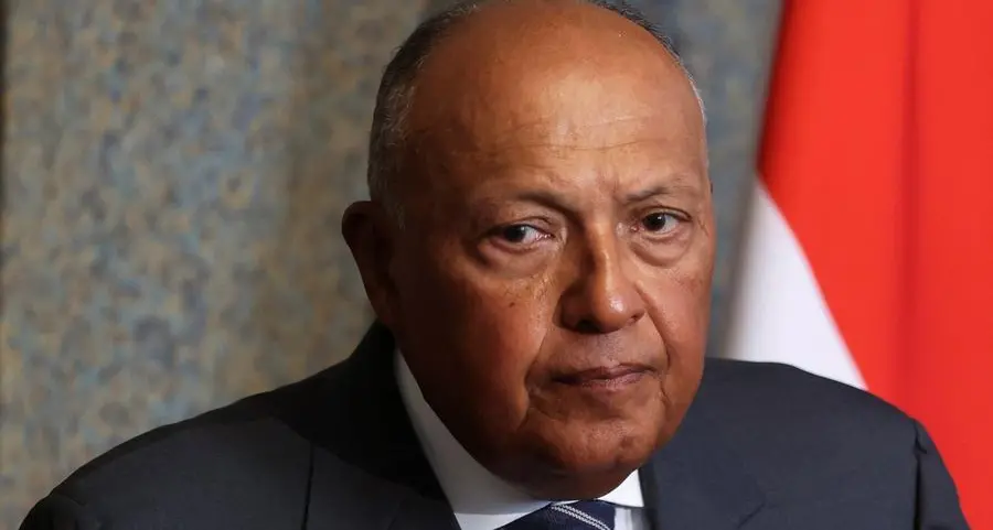 Egypt's foreign minister says Ethiopia has become source of instability in region