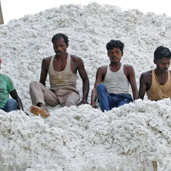 India's cotton stocks set to plunge 31% y/y to lowest in decades