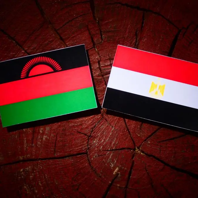 Egypt and Malawi discuss boosting military cooperation