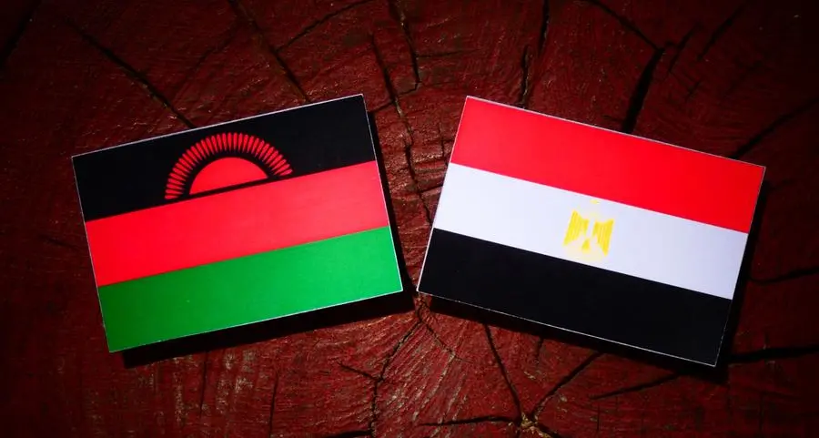 Egypt and Malawi discuss boosting military cooperation