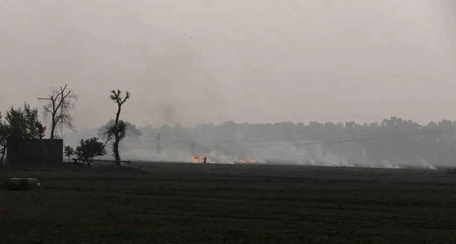 India's farmers wrestle with shift to eco-friendly agriculture