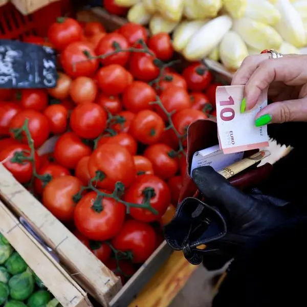 Euro zone consumers lift inflation expectations, ECB survey shows