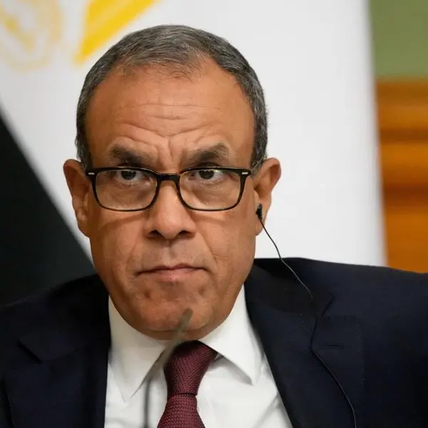 Egypt FM says attracting foreign direct investment is top government priority
