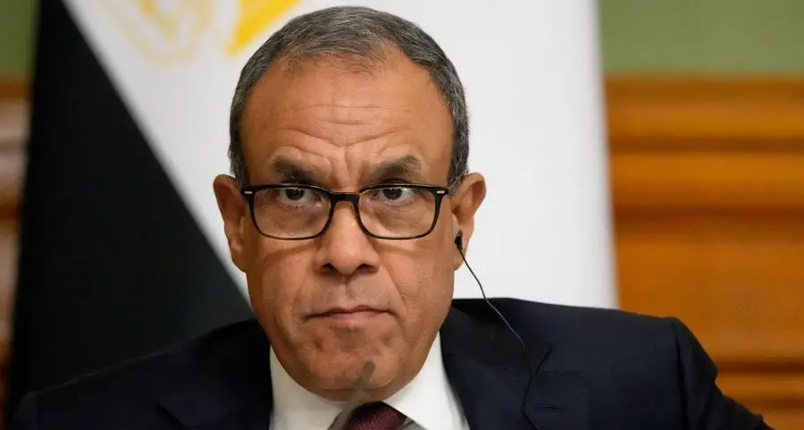 Egypt FM says attracting foreign direct investment is top government priority