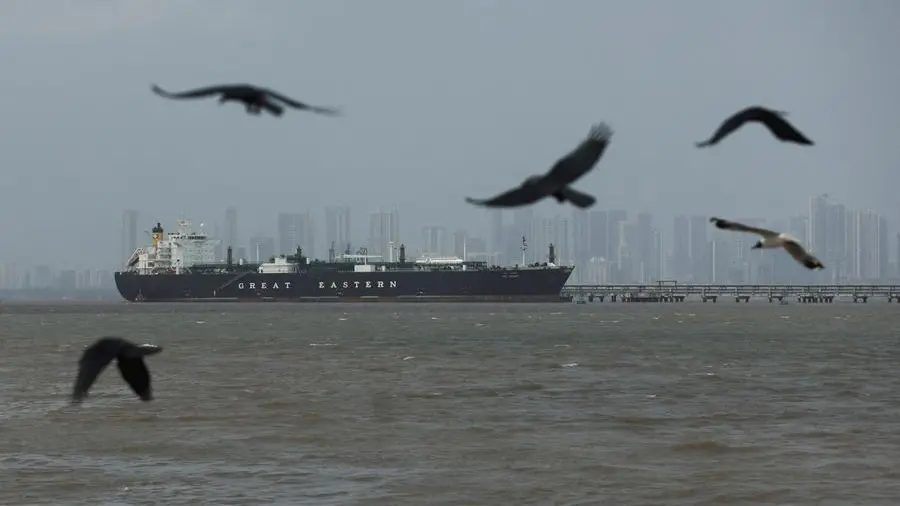 Two-week ceasefire won't end ocean container shipping disruption, says expert