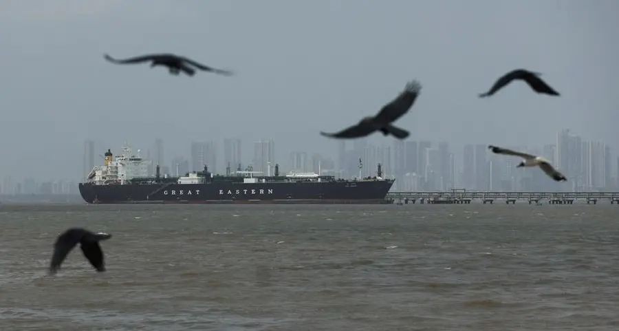 Two-week ceasefire won't end ocean container shipping disruption, says expert