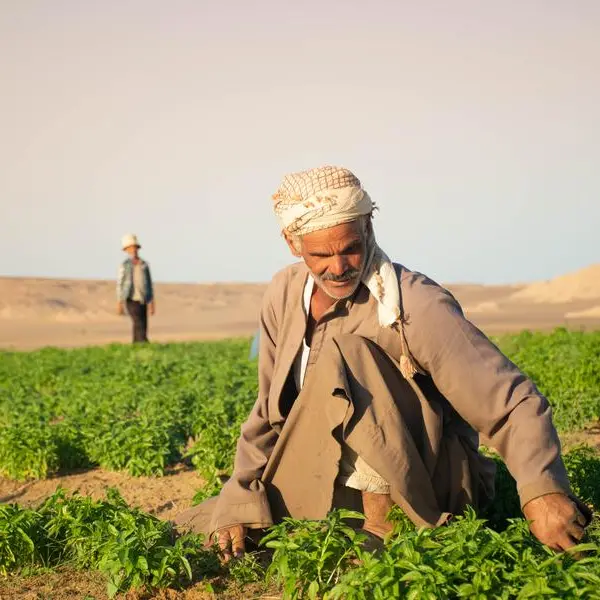 SEKEM marks major business and sustainability achievements across its ecosystem in 2025
