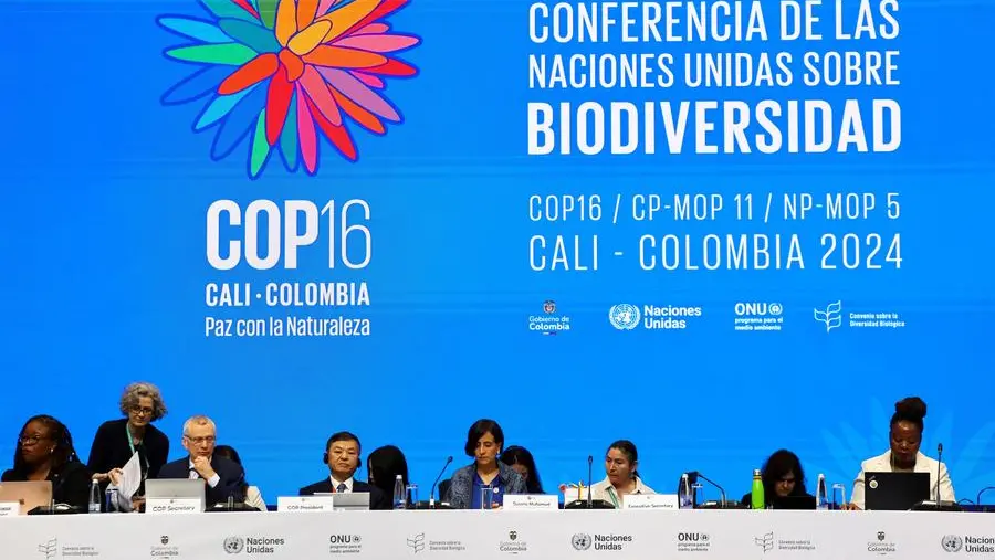 Leaders urge world to pay up to save nature as COP16 talks open