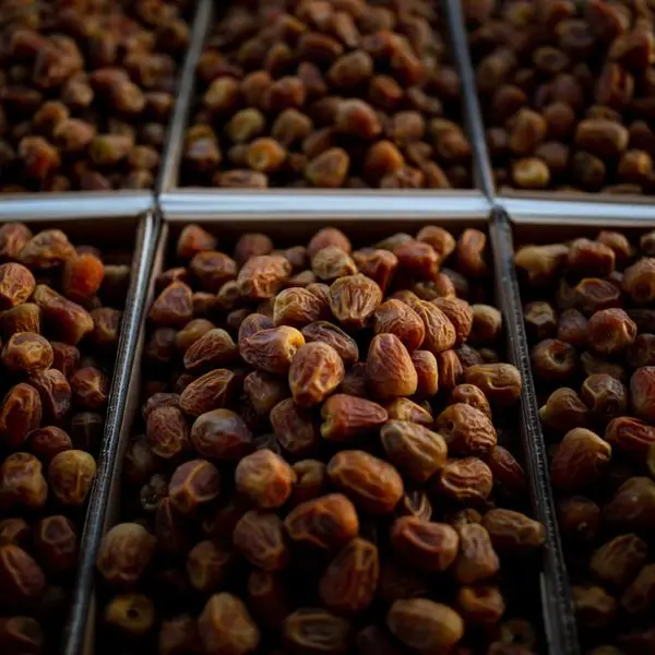 Saudi date exports surge across key markets with gains of up to 67%