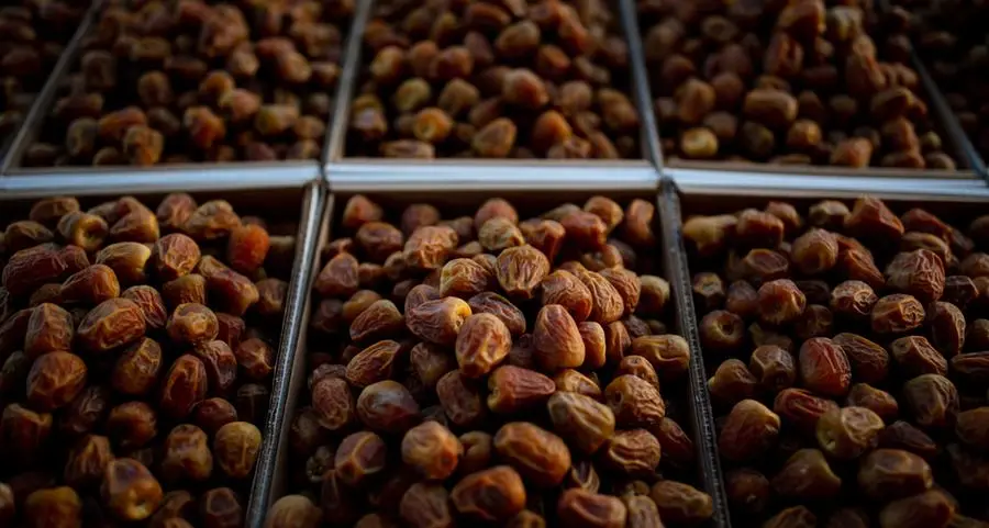 Saudi date exports surge across key markets with gains of up to 67%
