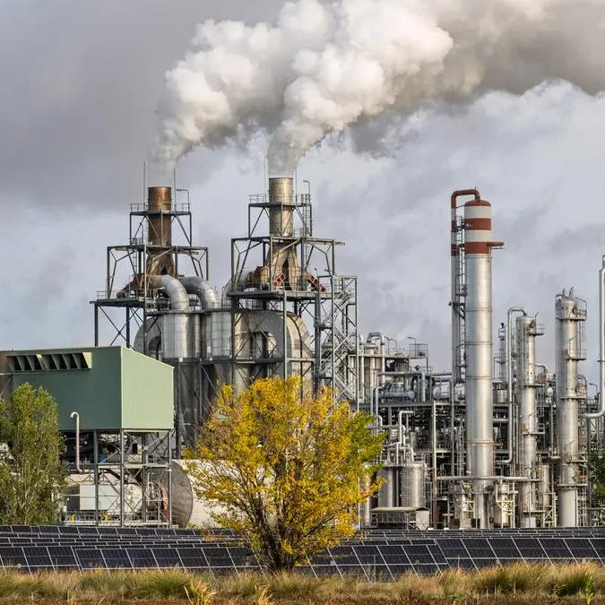 Egypt finalising debt financing for $193mln bio-ethanol project