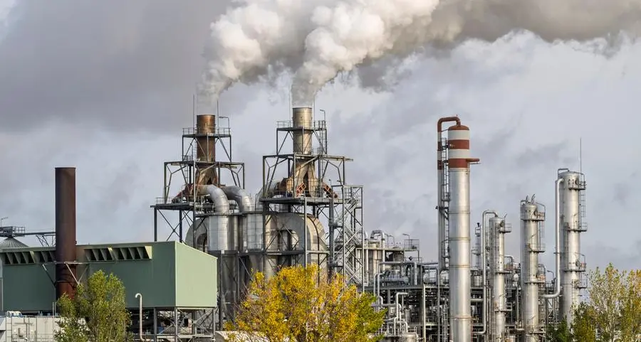 Egypt finalising debt financing for $193mln bio-ethanol project