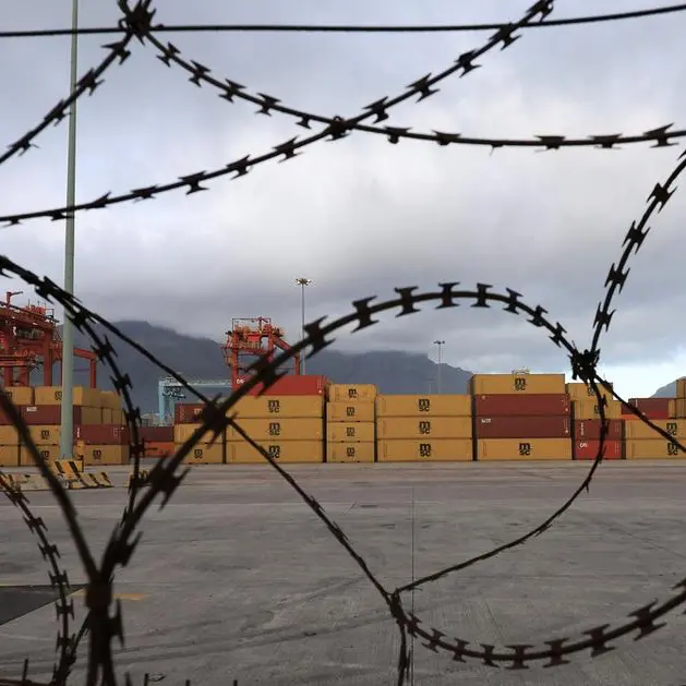 South Africa's trade minister heads to China, seeking duty-free export access