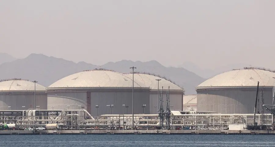 Japan to switch back to Dubai crude for gasoline subsidy calculation from June 4