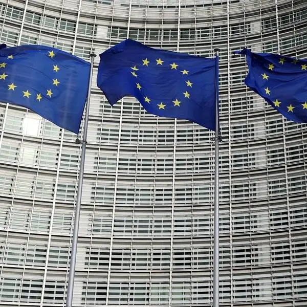 EU is pushing for early US tariff relief, 'stand-still' clause, says senior lawmaker