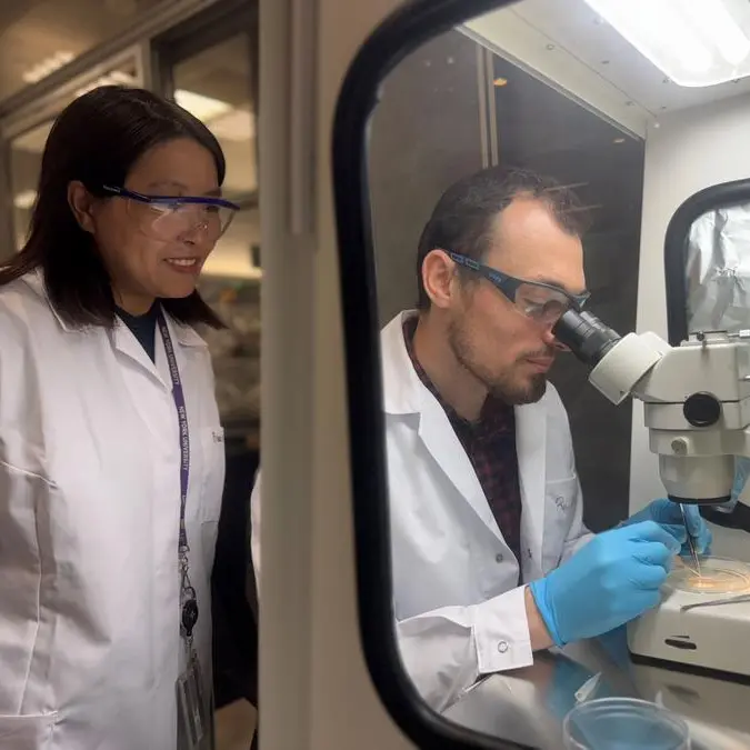 NYUAD researchers find link between brain growth and mental health disorders