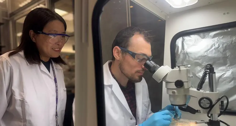 NYUAD researchers find link between brain growth and mental health disorders