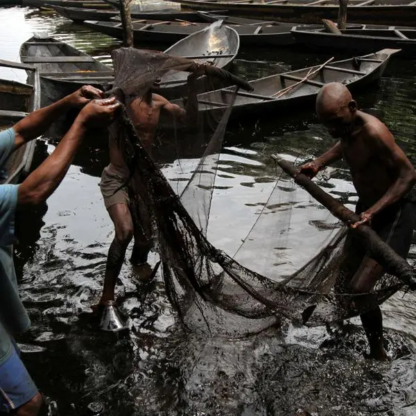 Nigeria's Trans Niger oil pipeline bursts, spills crude, rights group says
