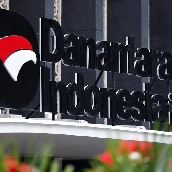 Danantara Indonesia to draw down $3bln from $10bln credit line, sources say