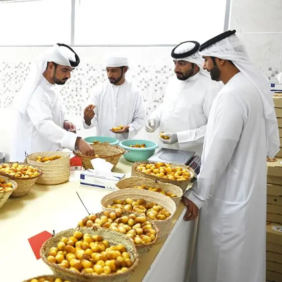 Al Dhaid Date Festival cements its status as a leading platform for agricultural innovation and sustainability