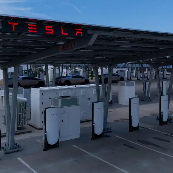 Tesla is training its AI technology in China, local media reports