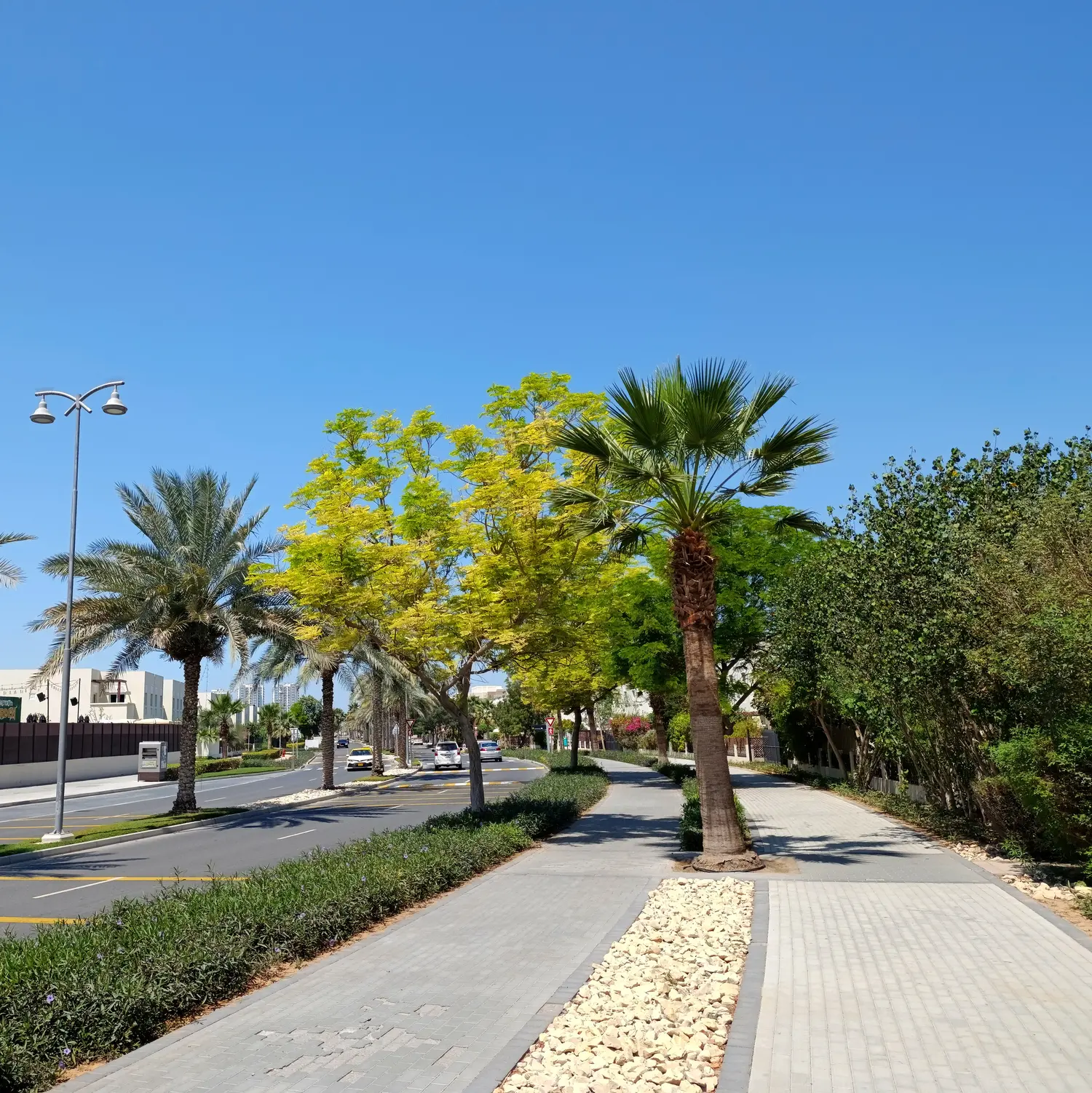 Dubai Residential REIT acquires Jebel Ali Village townhouses for $243mln