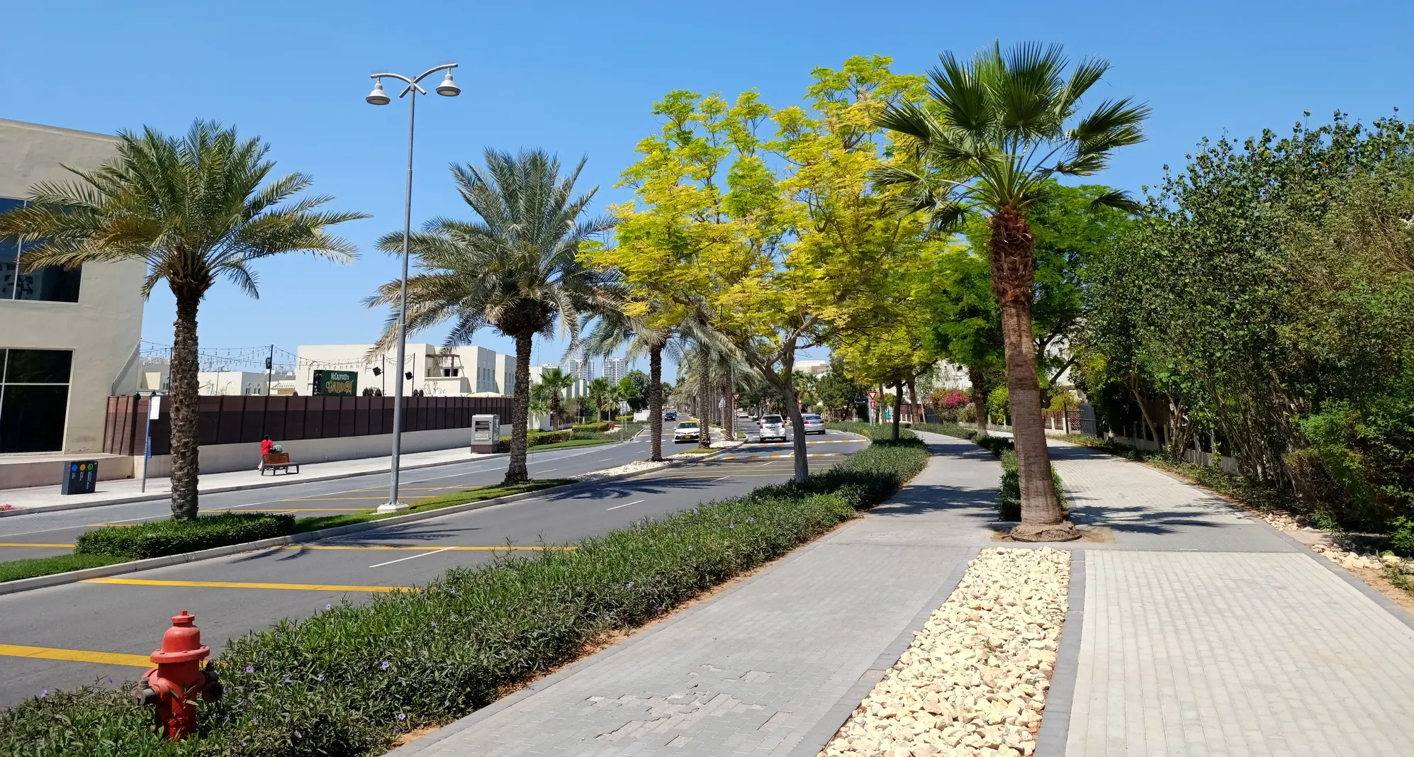 Dubai Residential REIT acquires Jebel Ali Village townhouses for $243mln
