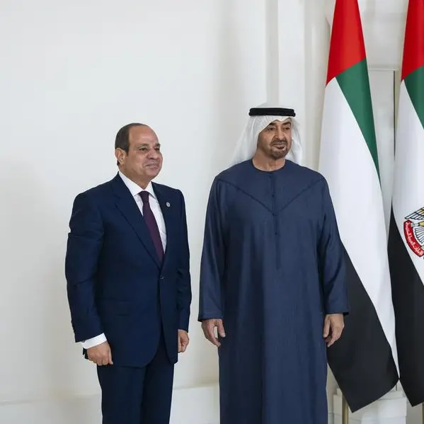 UAE, Egyptian Presidents discuss fraternal ties, regional developments
