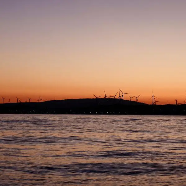 EU to propose more flexible climate goal in July, sources say