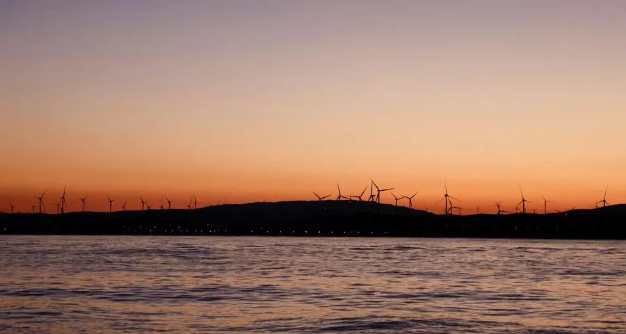 EU to propose more flexible climate goal in July, sources say