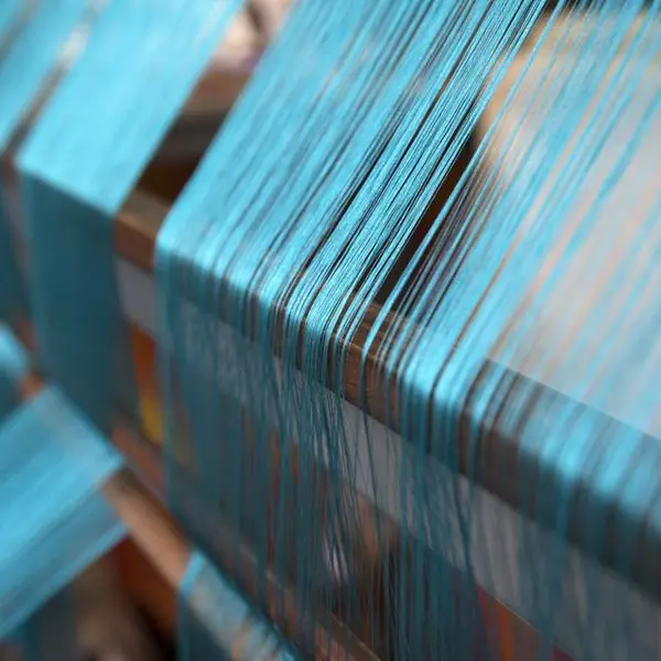 Egypt to establish first integrated natural silk production centre in New Valley