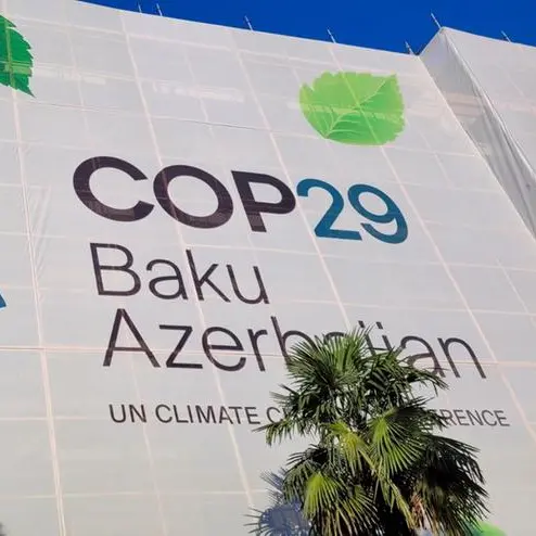 World Green Economy Organization announces active participation in COP29