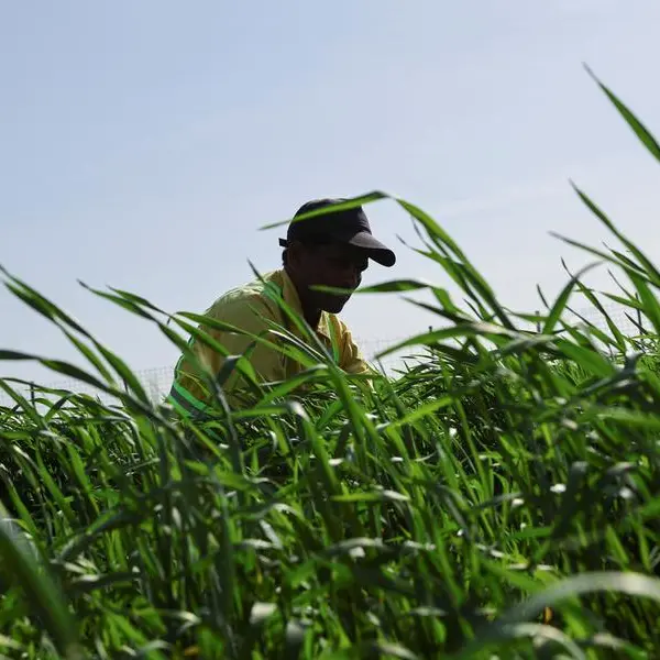 Sharjah underscores strong performance of UAE food security