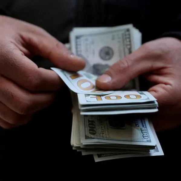 Egypt to auction $400mln in 1-year dollar T-bills on June 1, central bank says