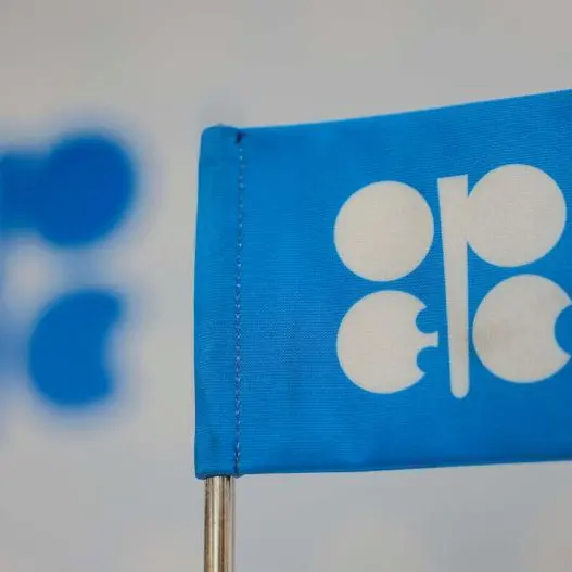 OPEC oil output rises by 30,000 bpd in October, survey finds