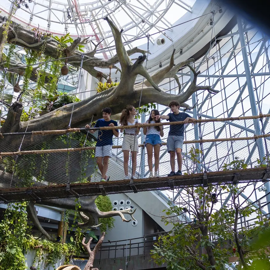 ذا جرين بلانيت دبي تطفئ أنوارها في ساعة الأرض دعماً لجهود حماية البيئة