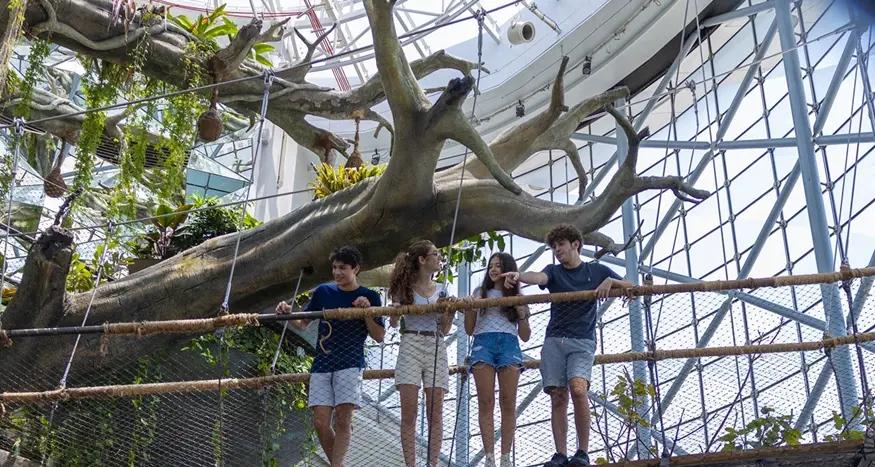 ذا جرين بلانيت دبي تطفئ أنوارها في ساعة الأرض دعماً لجهود حماية البيئة