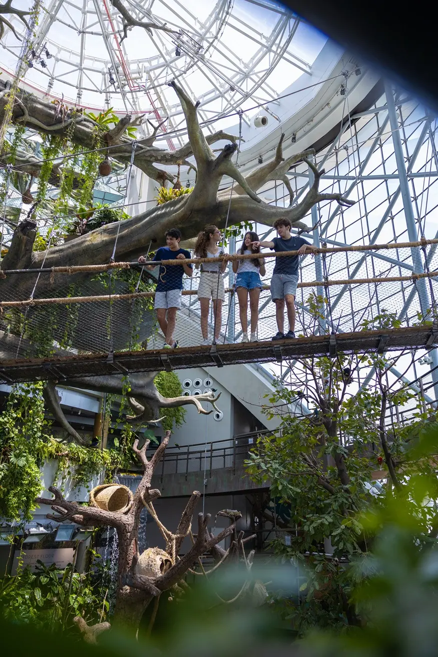 ذا جرين بلانيت دبي تطفئ أنوارها في ساعة الأرض دعماً لجهود حماية البيئة