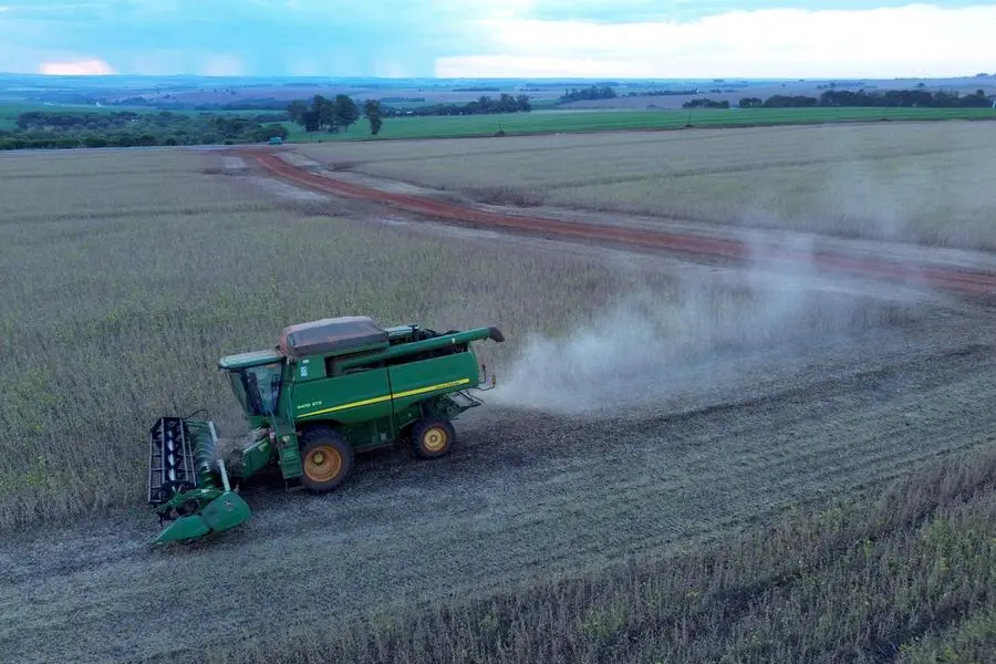 FILE PHOTO: Farmers harvest soybeans on a farm in Maringa in Parana state, Brazil, March 3, 2025. REUTERS/Rodolfo Buhrer. Image used for illustrative purpose. , Reuters