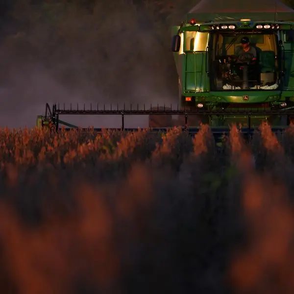 Soybean futures stabilise on US-China trade war truce; wheat dips on USDA report