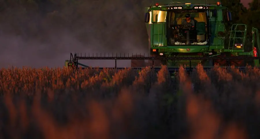 Soybean futures stabilise on US-China trade war truce; wheat dips on USDA report