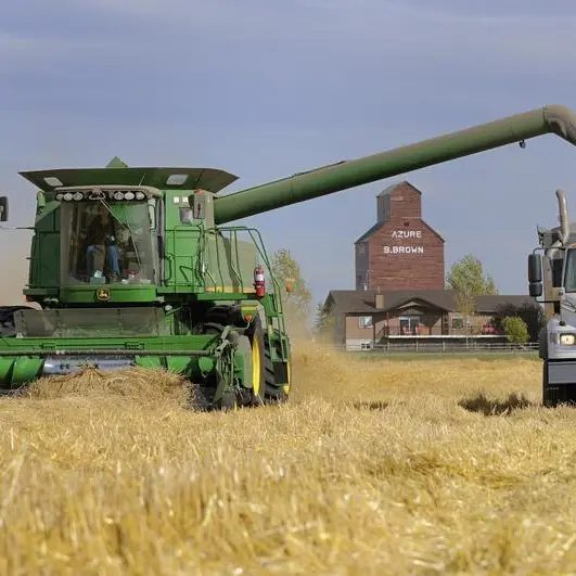 Turkey tenders to buy and import 255,000 metric tons feed barley, traders say