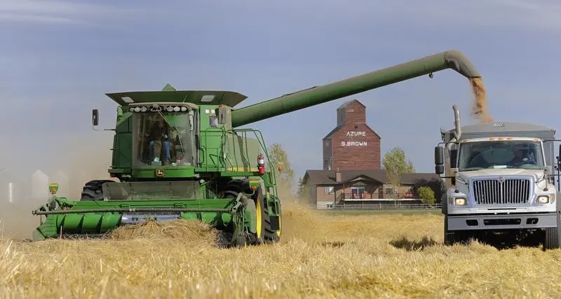 Turkey tenders to buy and import 255,000 metric tons feed barley, traders say