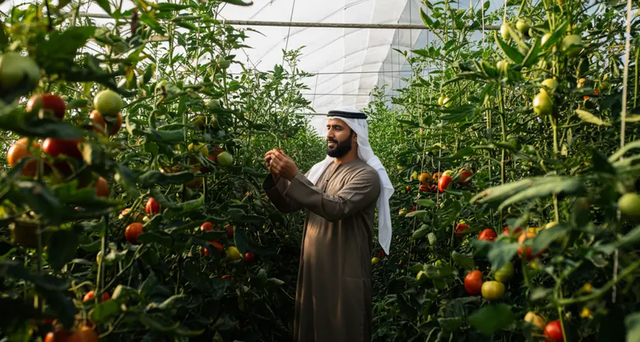 Agricultural licences in Abu Dhabi rise 29% in 9 months: ADRA