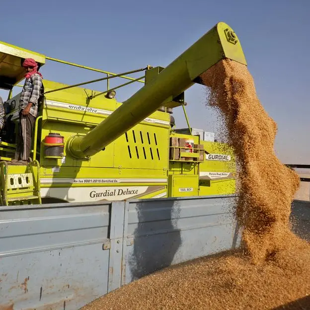 Indian flour mills struggle as wheat prices surge to record high