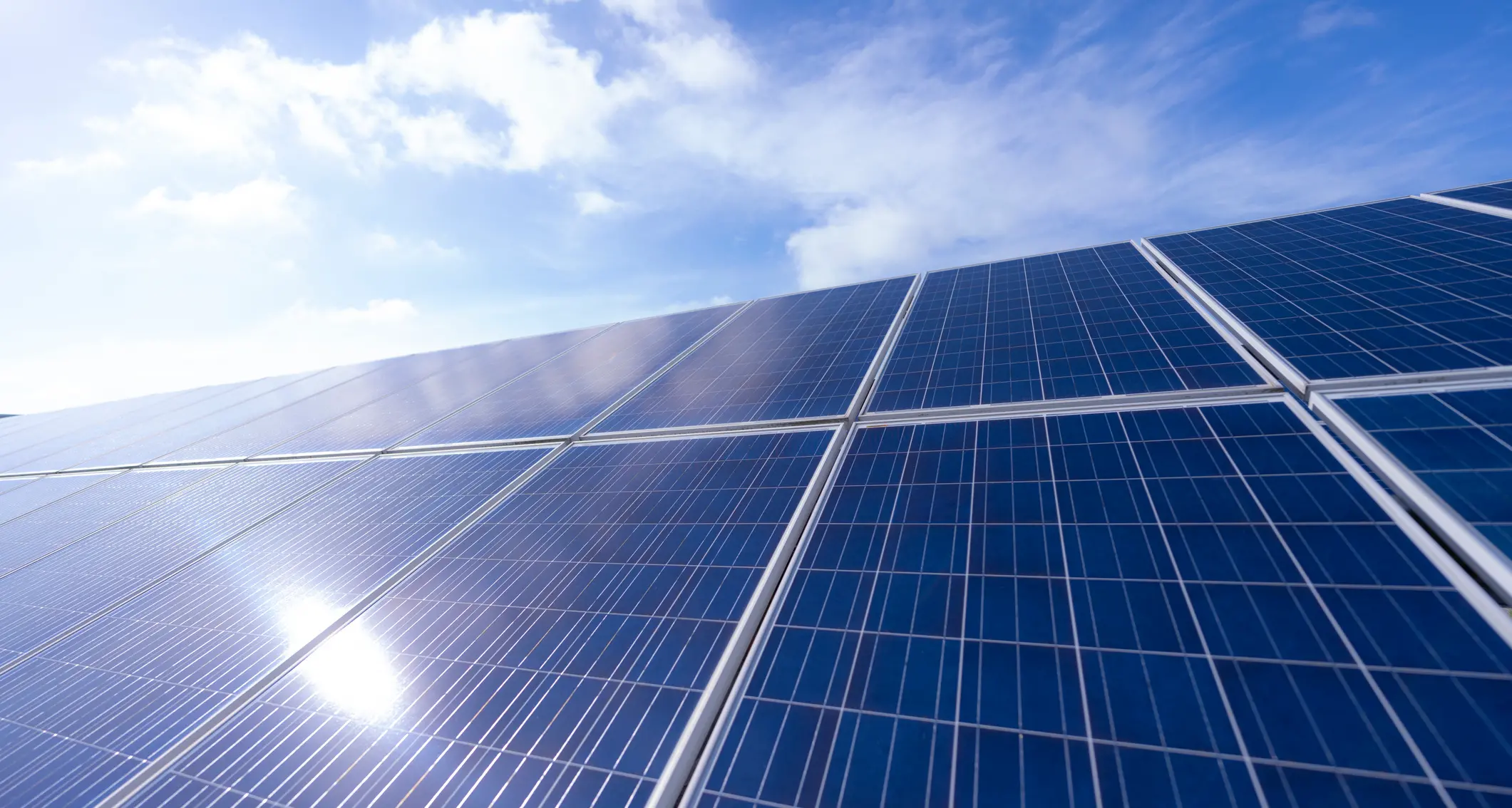 Why renewable energy investment continues to rise despite US trade barriers