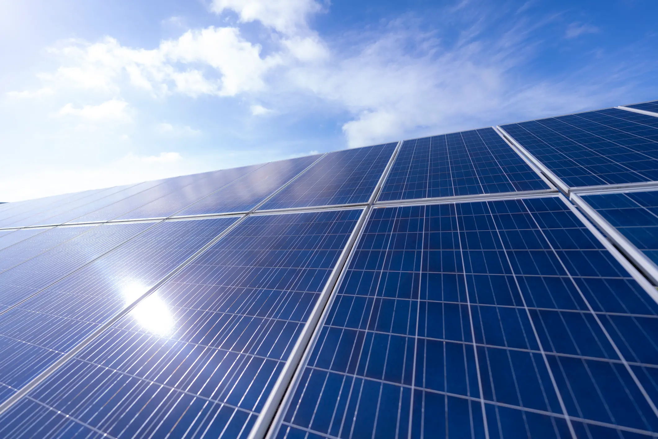 Why renewable energy investment continues to rise despite US trade barriers