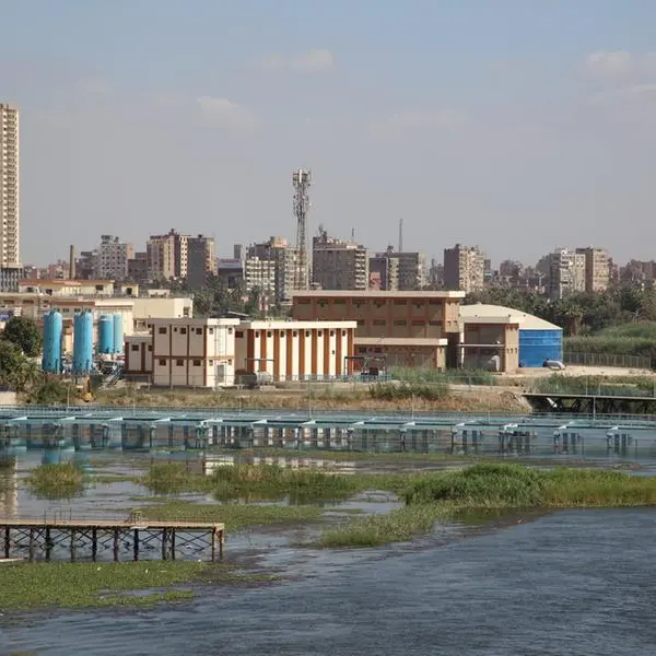 Egypt launches vocational irrigation schools, scales up Nile hyacinth recycling initiative