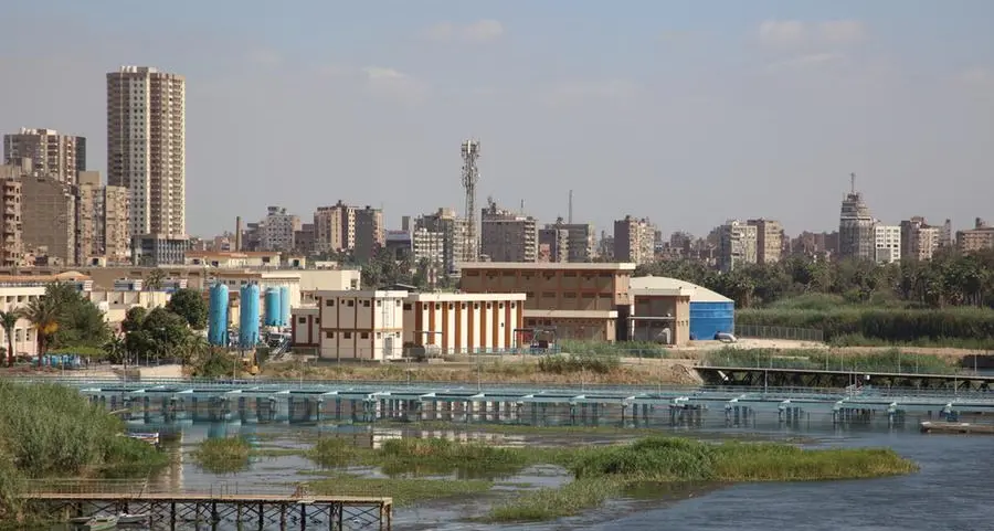 Egypt launches vocational irrigation schools, scales up Nile hyacinth recycling initiative