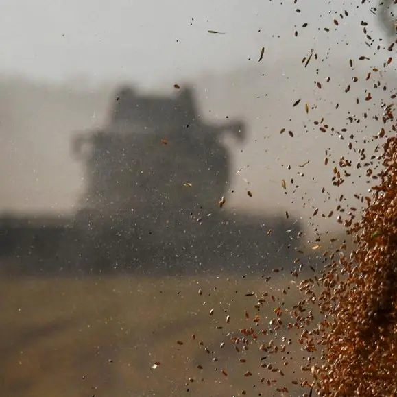 Jordan buys about 60,000 T wheat in tender, traders say